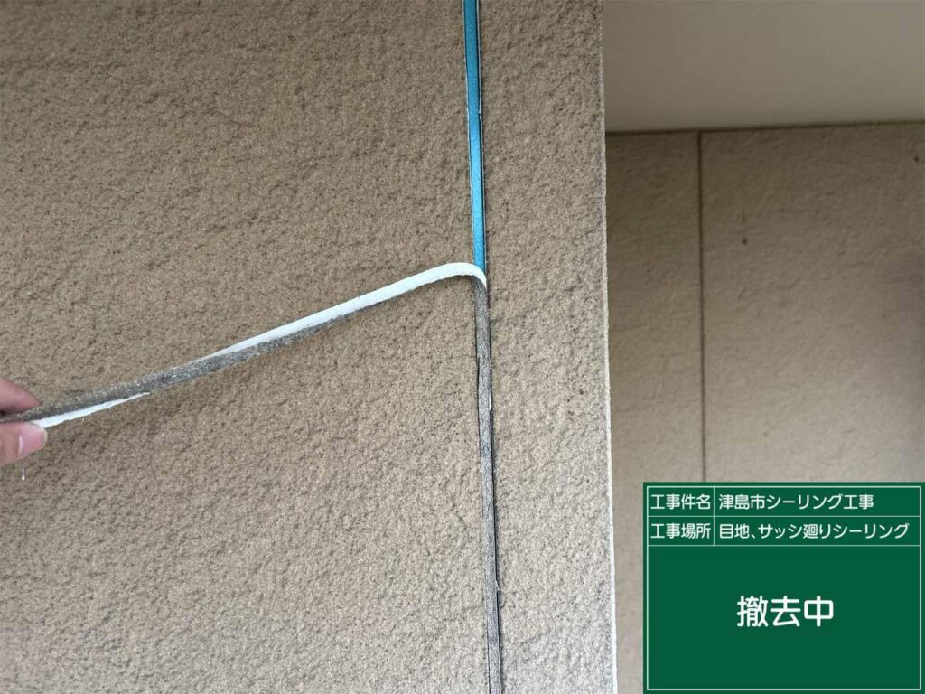 津島市神守町でオートンイクシードでシーリング工事を施工中　アートペインズ