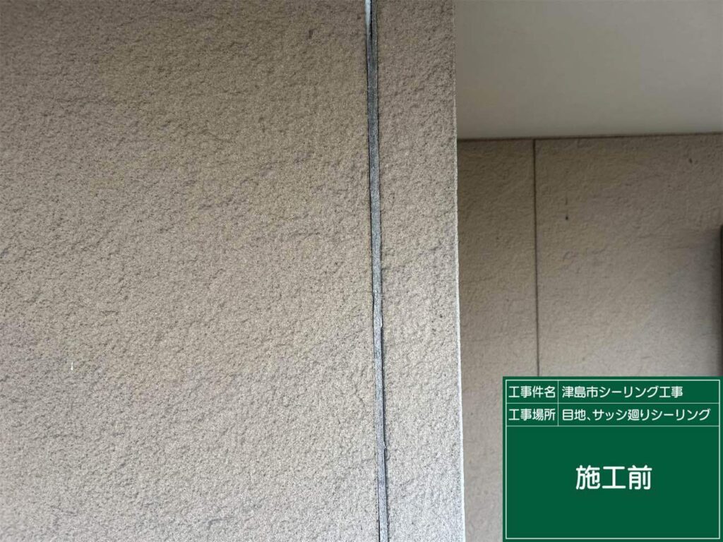 津島市神守町でオートンイクシードでシーリング工事を施工中　アートペインズ