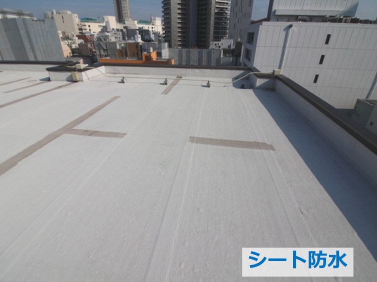 シート防水は、主に屋上など広い場所で施工されている防水工事です　アートペインズ