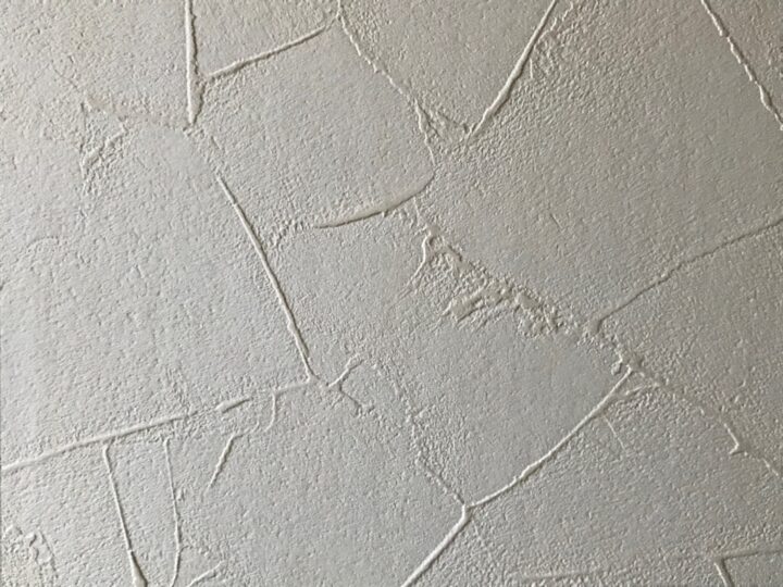 津島市の漆喰塗装された外壁の質感